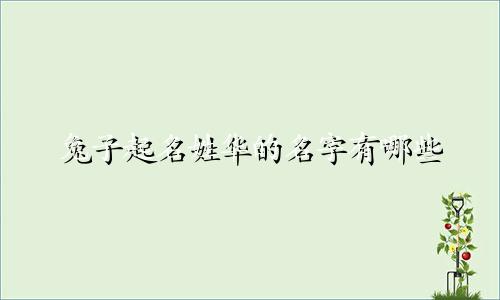 兔子起名姓华的名字有哪些