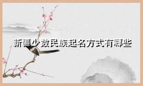新疆少数民族起名方式有哪些