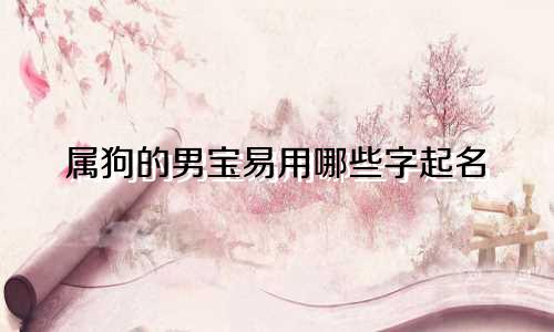 属狗的男宝易用哪些字起名