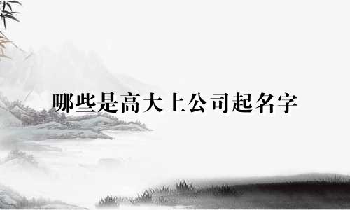 哪些是高大上公司起名字