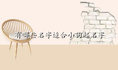 有哪些名字适合小狗起名字