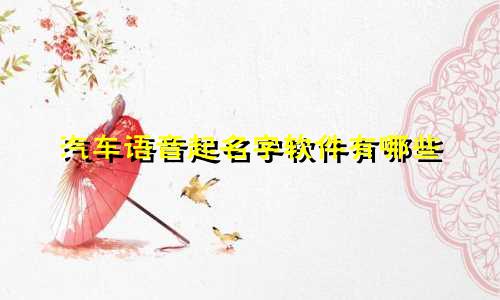汽车语音起名字软件有哪些
