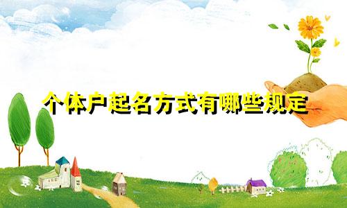 个体户起名方式有哪些规定