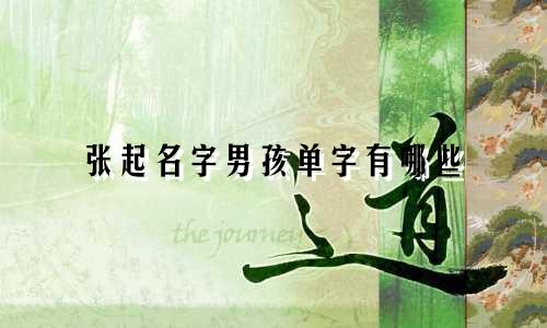 张起名字男孩单字有哪些