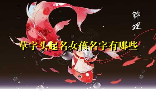 草字头起名女孩名字有哪些