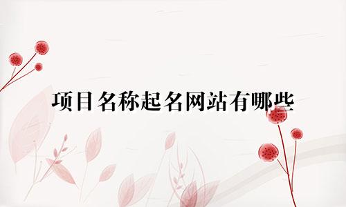 项目名称起名网站有哪些
