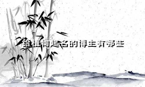 给植物起名的博主有哪些