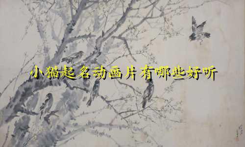 小猫起名动画片有哪些好听