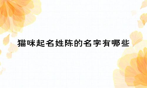 猫咪起名姓陈的名字有哪些
