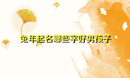 兔年起名哪些字好男孩子