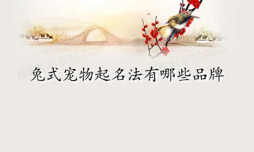 兔式宠物起名法有哪些品牌