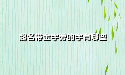 起名带金字旁的字有哪些