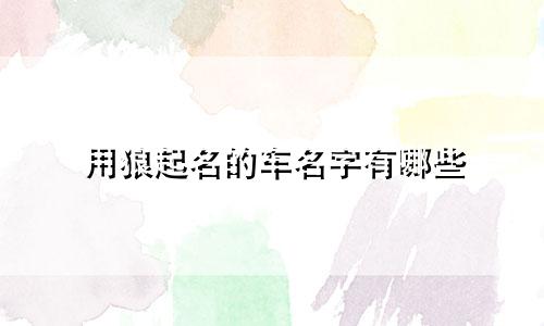 用狼起名的车名字有哪些