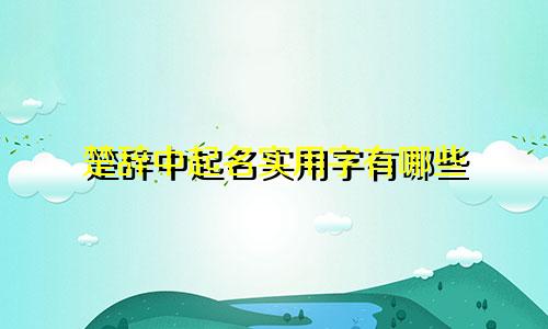 楚辞中起名实用字有哪些