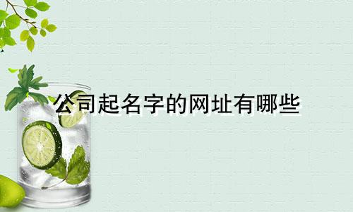 公司起名字的网址有哪些