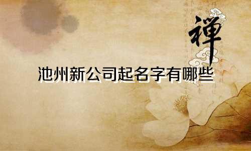 池州新公司起名字有哪些