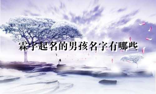 霖字起名的男孩名字有哪些