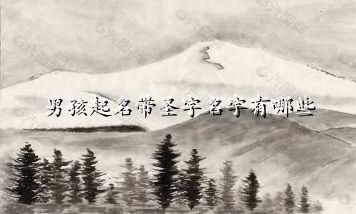 男孩起名带圣字名字有哪些