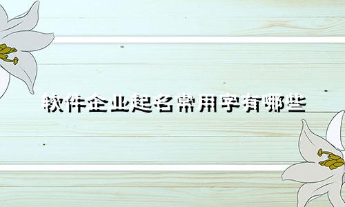 软件企业起名常用字有哪些