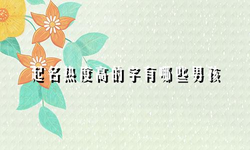 起名热度高的字有哪些男孩