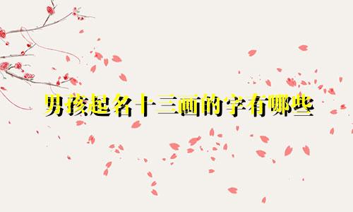 男孩起名十三画的字有哪些