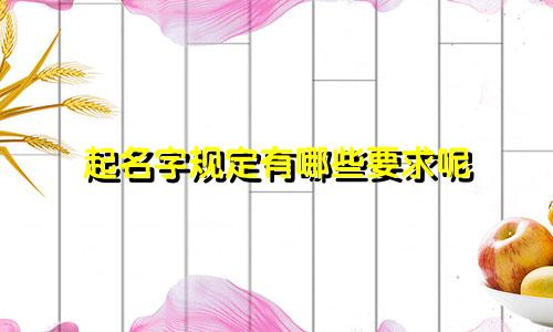 起名字规定有哪些要求呢