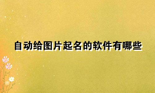 自动给图片起名的软件有哪些