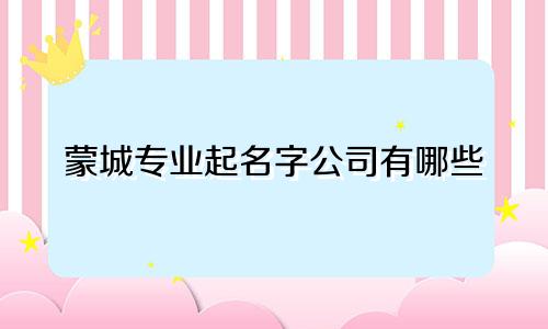 蒙城专业起名字公司有哪些