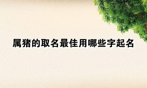 属猪的取名最佳用哪些字起名