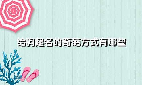 给狗起名的奇葩方式有哪些