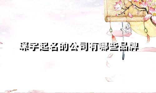 琛字起名的公司有哪些品牌
