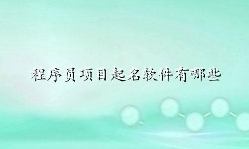 程序员项目起名软件有哪些