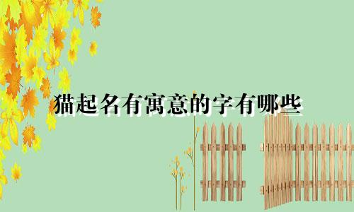 猫起名有寓意的字有哪些