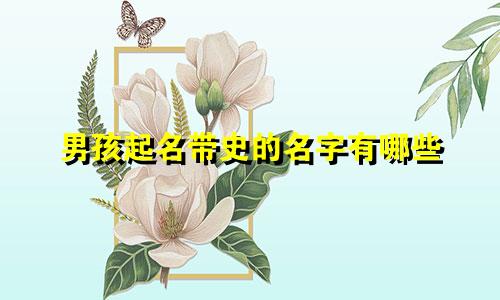 男孩起名带史的名字有哪些