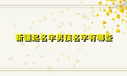 新疆起名字男孩名字有哪些