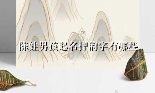 陈姓男孩起名押韵字有哪些