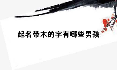 起名带木的字有哪些男孩