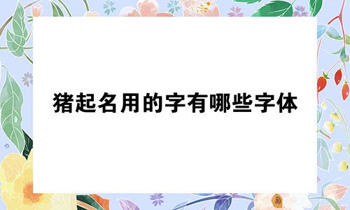 猪起名用的字有哪些字体