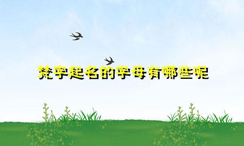 梵字起名的字母有哪些呢