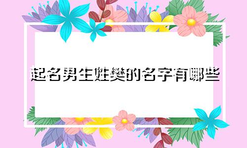 起名男生姓樊的名字有哪些