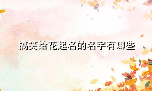 搞笑给花起名的名字有哪些