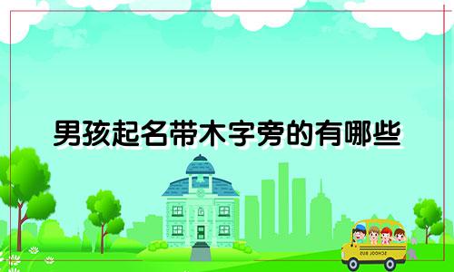 男孩起名带木字旁的有哪些