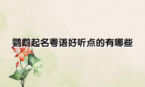 鹦鹉起名粤语好听点的有哪些