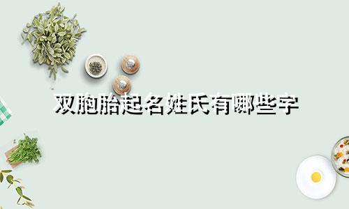 双胞胎起名姓氏有哪些字