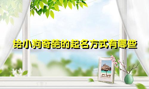 给小狗奇葩的起名方式有哪些