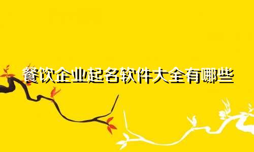 餐饮企业起名软件大全有哪些