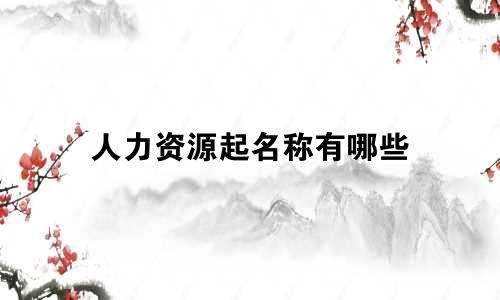 人力资源起名称有哪些