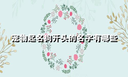 宠物起名狗开头的名字有哪些