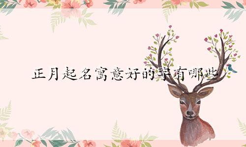 正月起名寓意好的字有哪些