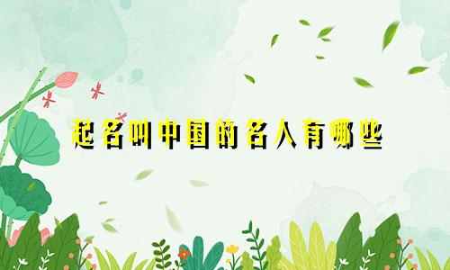 起名叫中国的名人有哪些